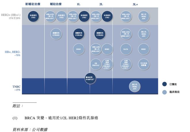 交所开启国际化的第二步开元棋牌恒瑞正式递表港(图5)